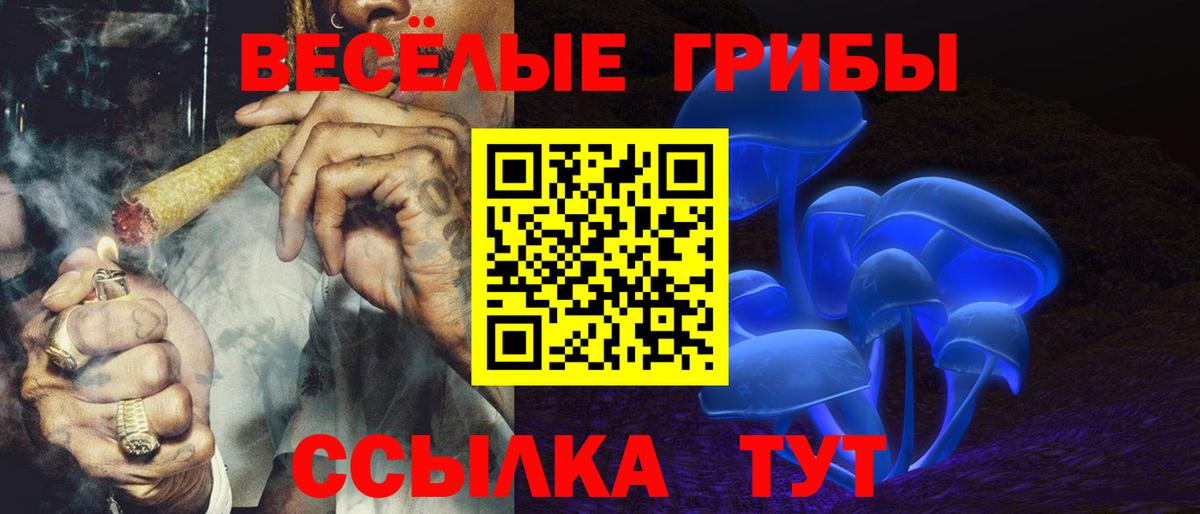 Псилоцибиновые грибы мухоморы Тайшет