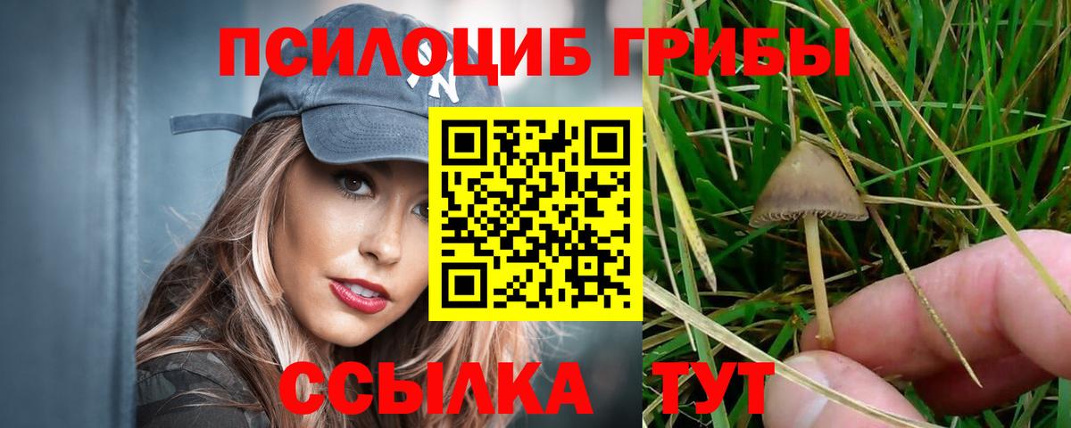 дарнет шоп  Галлюциногенные грибы прущие грибы  Вход с VPN  Тайшет 
